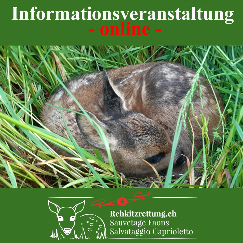 Rehkitzrettung mit Wärmebilddrohnen